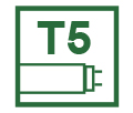 T5